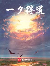 一夕成道的书