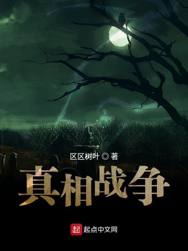 战争的真相好玩吗