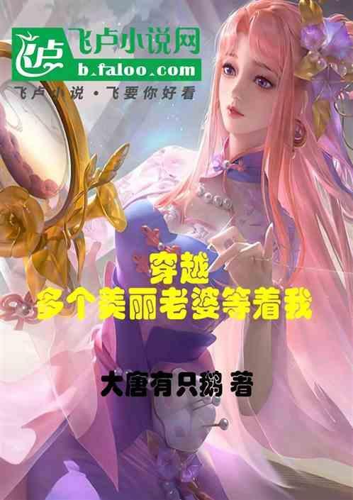 主角穿越很多老婆的电视剧