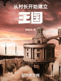 从村长开始建立王国无防盗