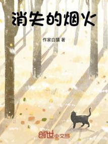 消失的烟火气作文
