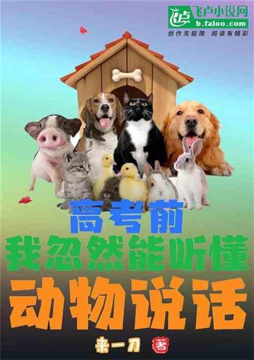 高考前