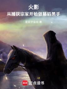 火影从捕获宗家开始做幕后黑手星辰宇宙观
