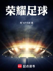 荣耀足球gm版