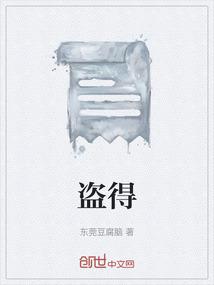 盗得经