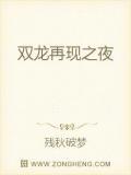 双龙会续集