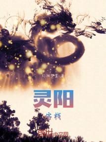 灵阳客栈预订