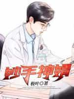 妙手神婿全文阅读免费
