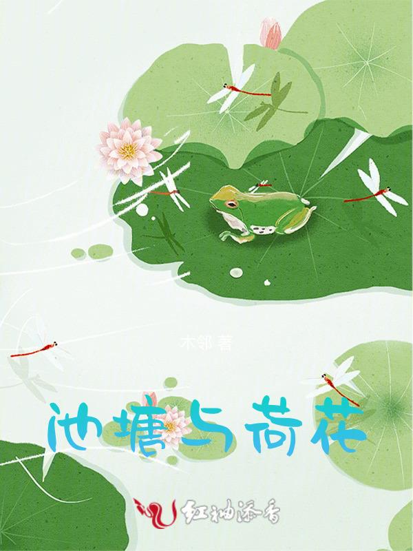 池塘与荷花的古诗一年级