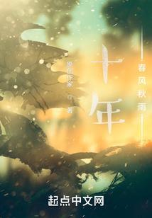 十年风雨兼程下一句