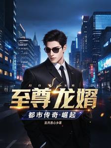 至尊龙婿简介