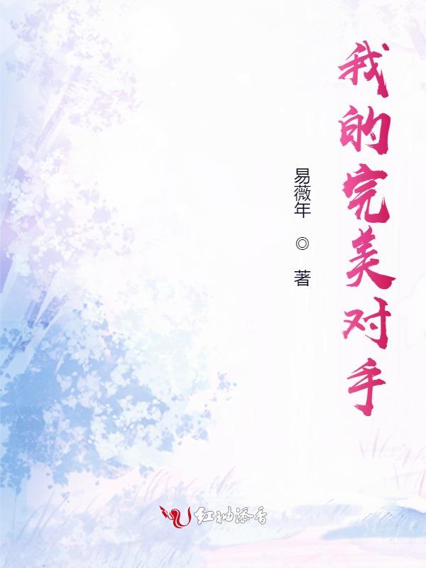 完美对手txt