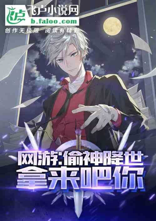 网游神偷