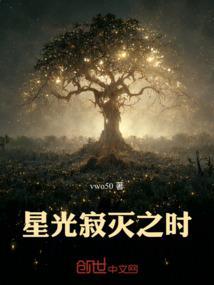 星光寂灭之时在线阅读