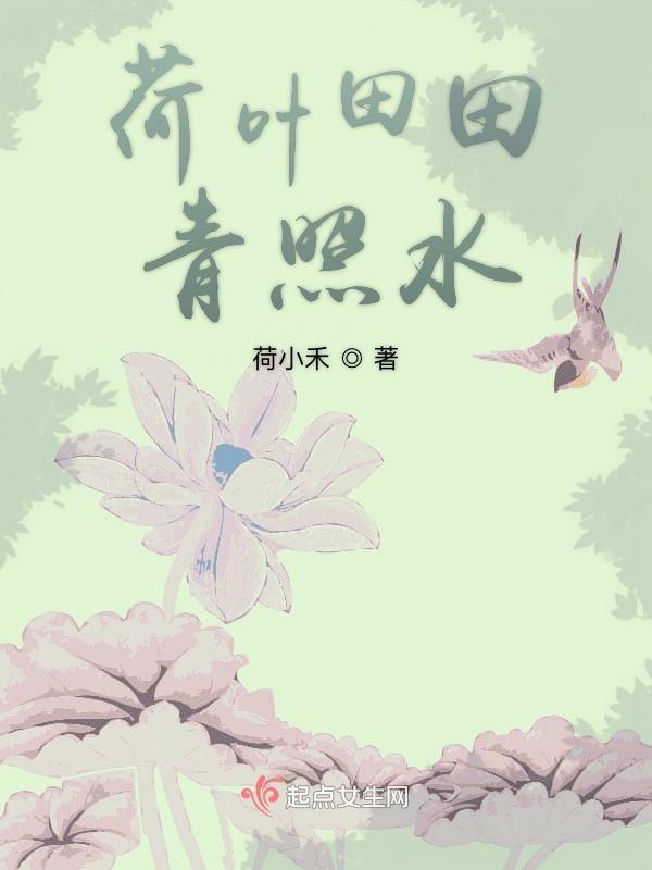 荷叶田田青照水的意思
