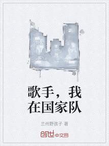 歌手怎么才算是国家队