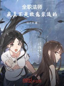 全职法师之真全职