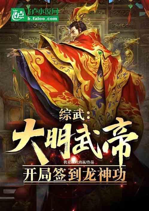 大明武帝系统