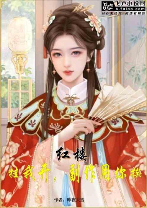 红楼开挂人生
