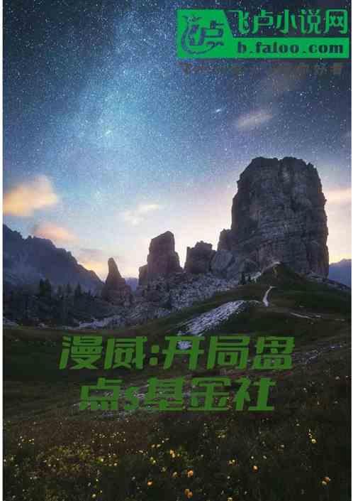 美漫：开局盘点s基金社