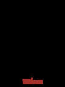 主宰十天