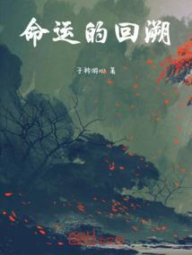 命运的回溯I