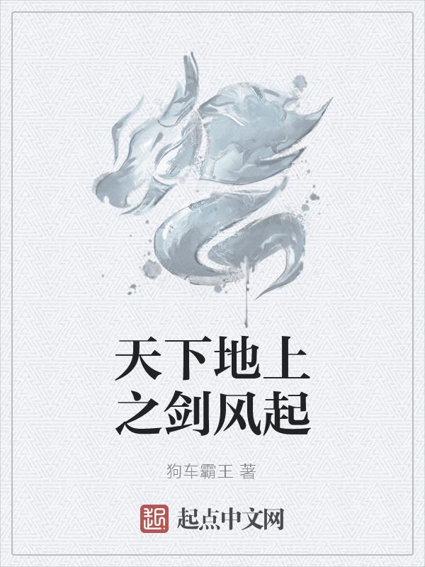 天下地上之剑风起