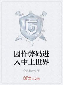 因作弊码进入中土世界