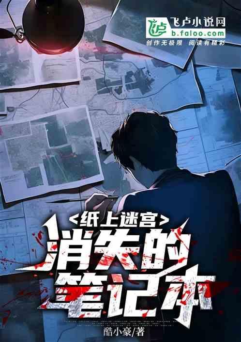 纸上迷宫:消失的笔记本