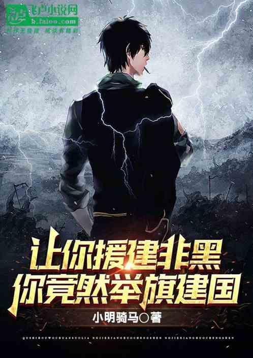 让你援建非黑，你竟然举旗建国