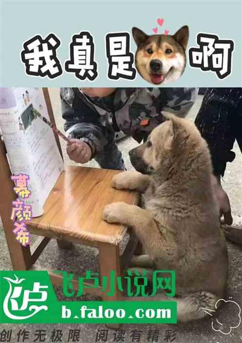 我真是狗啊