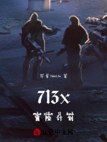 713x冒险计划