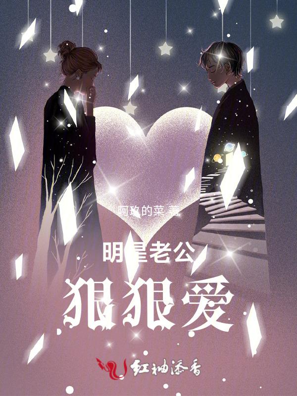 明星老公狠狠爱