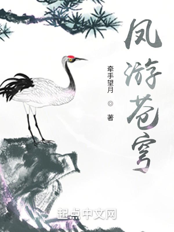凤游苍穹